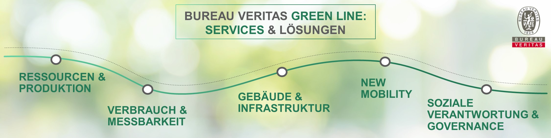 BVs Green Line Banner