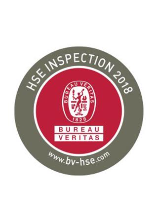HSE Inspections Siegel